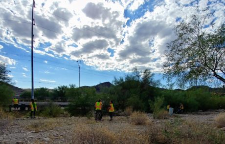 Sustainability Volunteers cleaning an Arizona Park