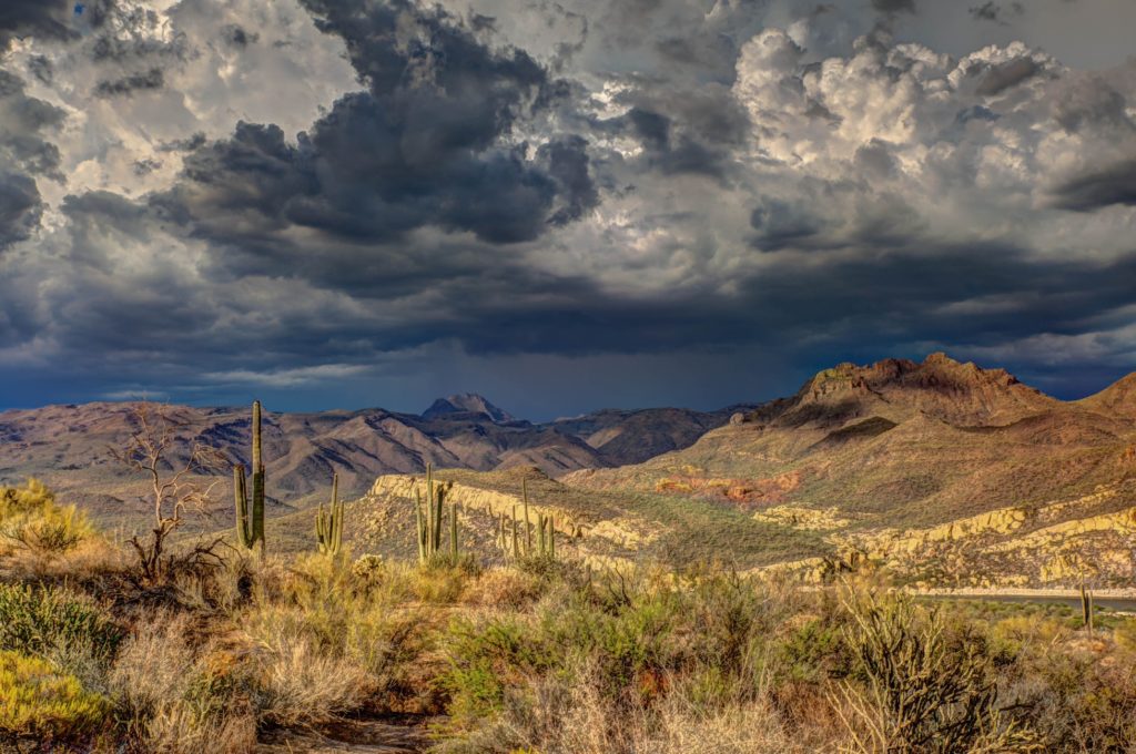 Arizona Biodiversity